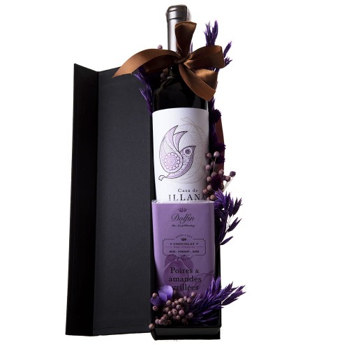 Illana dolfin mini.jpg