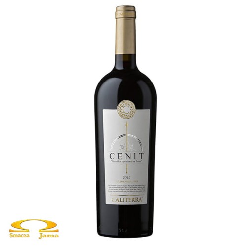 cenit logo.jpg