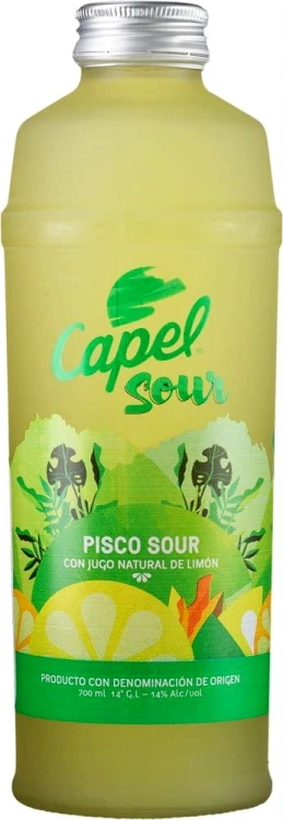capel_pisco-sour_chile.jpg