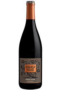 GnarlyHead_PN_BottleShot.png