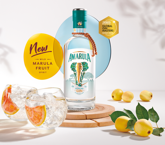 Screenshot 2023-05-25 at 20-49-39 AmarulaGin_Website_Hero-1-1.png (obraz PNG 1719×1150 pikseli) — Skala (53_).png