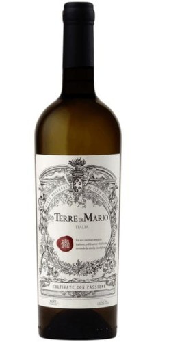 TERRE-DI-MARIO-BIANCO.jpg