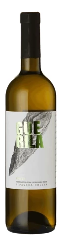BOTTLE_2592.webp