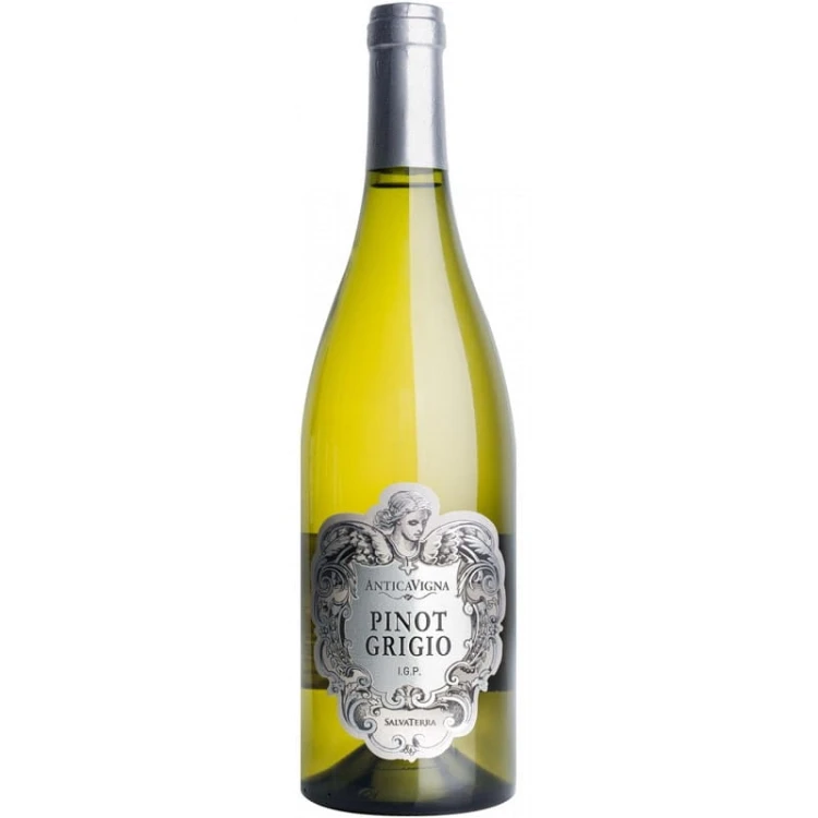 antica-vigna-pinot-grigio-veneto.jpg