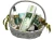 katalog_BN2024_03_11.webp
