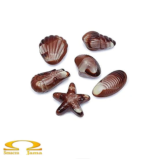 Belgian Seashells 250g.jpeg