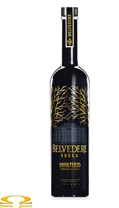 belvedere czarna złota 07 logo.jpg
