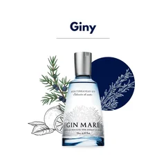 Gin